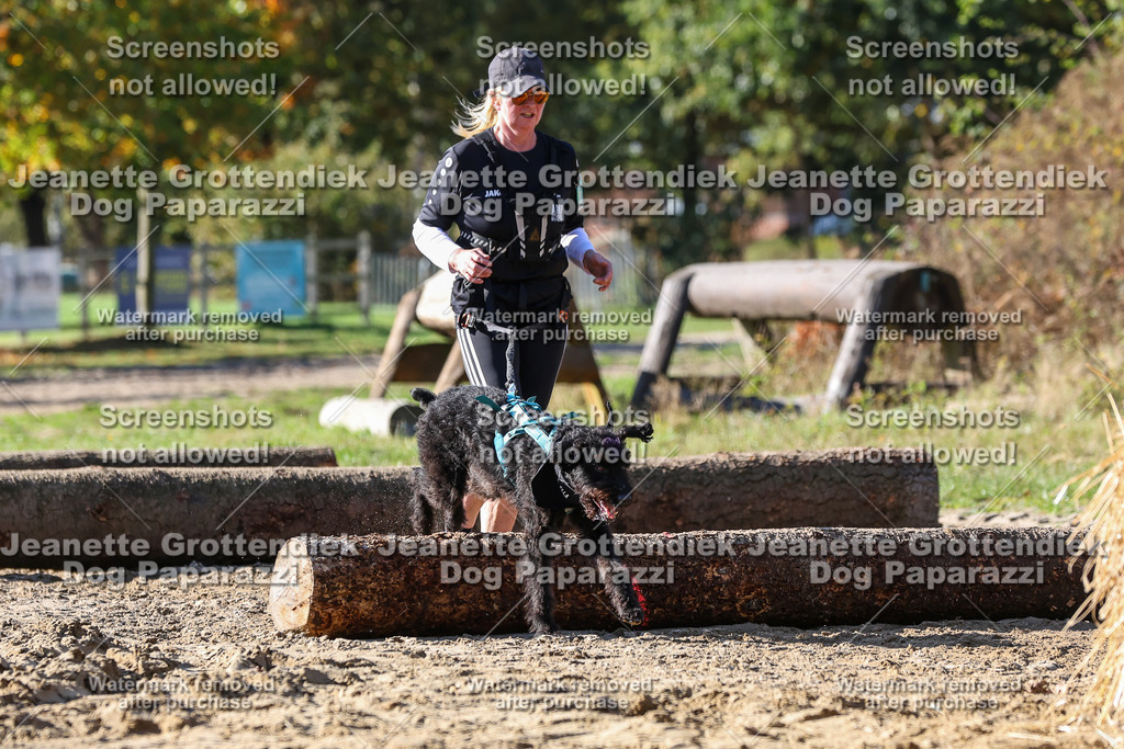 Dog Paparazzi - Strongdog 10-25-4656 | Dog Paparazzi Jeanette Grottendiek Fotografie & Videografie - Realisiert mit Pictrs.com