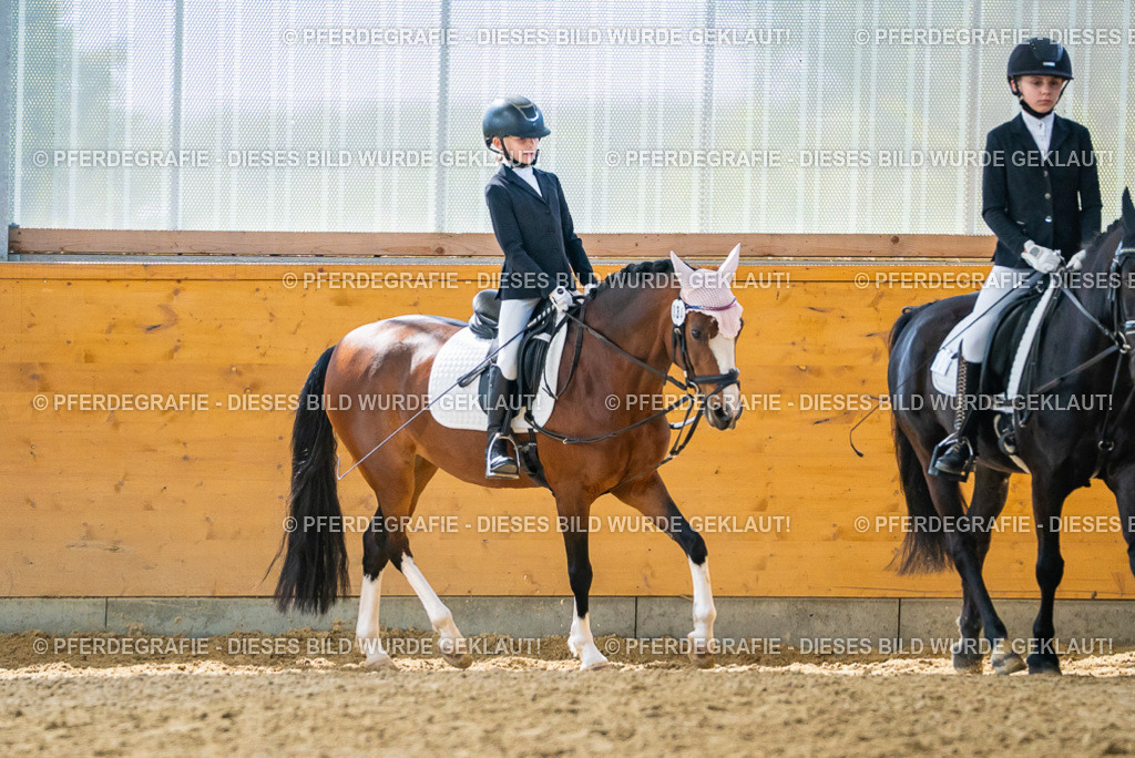 DSC00936 | Pferdegrafie