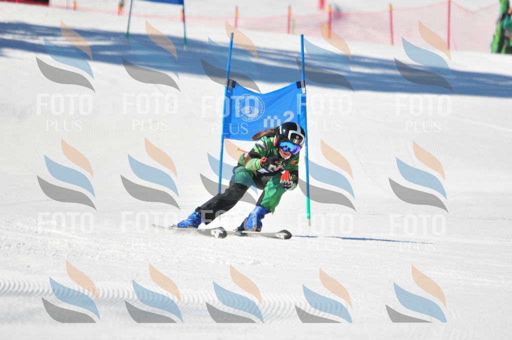 C3615 | holidayphoto