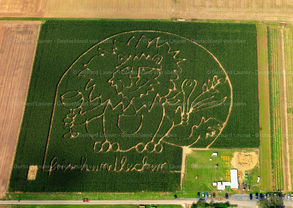 2734205 | Labyrinth bei Dieburg
