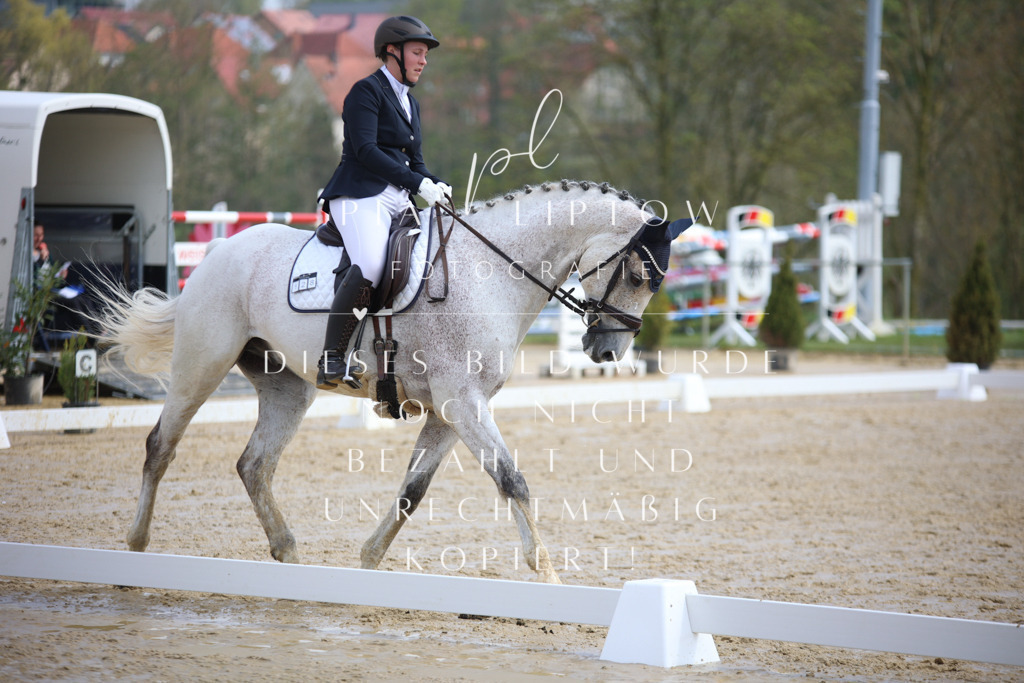 IMGT3342 | pl-fotografie