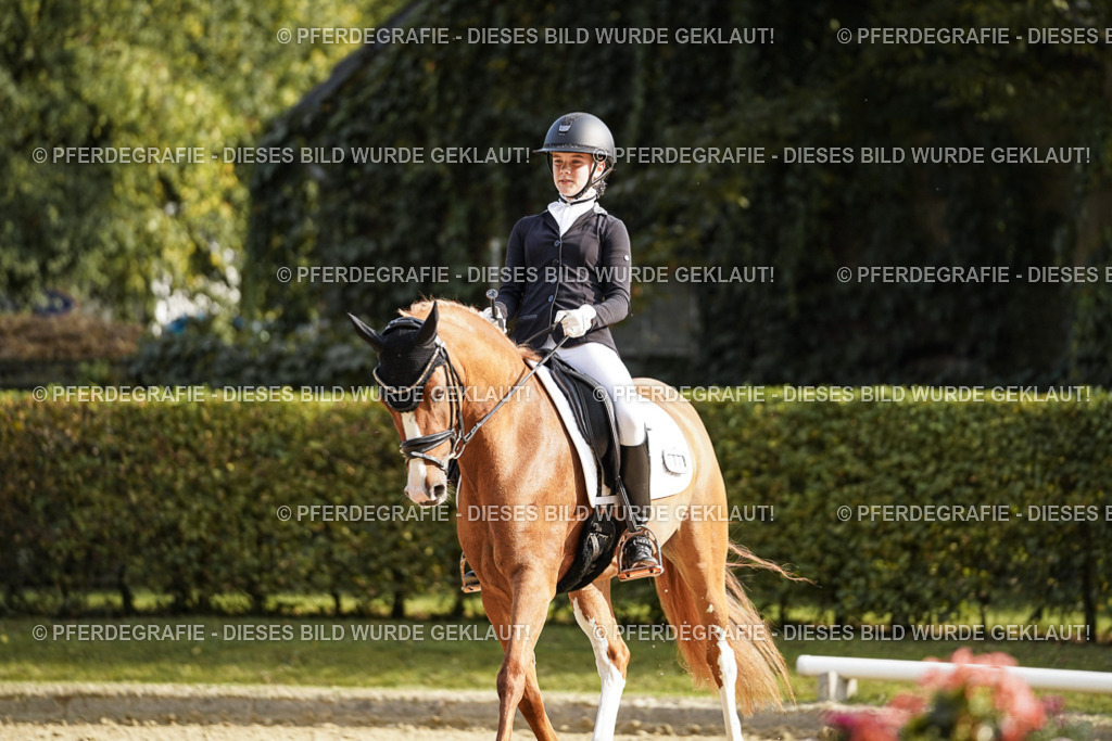 DSC06012 | Pferdegrafie