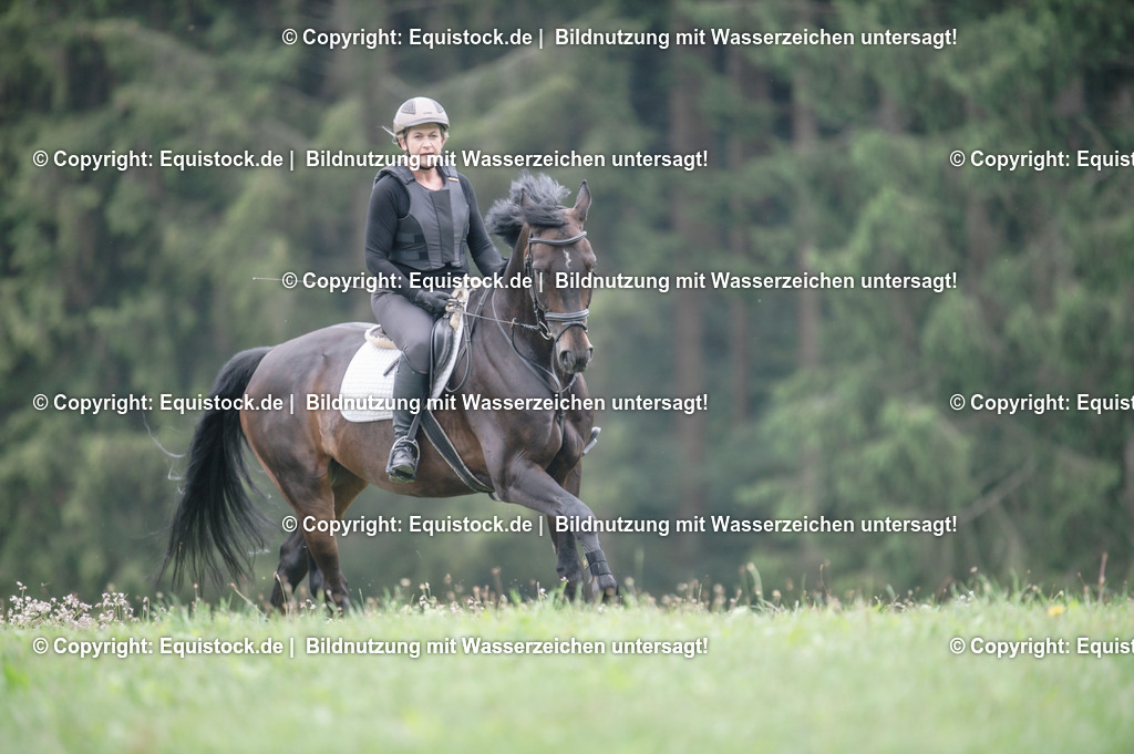 20250726_Vielseitigkeitslehrgang-Marbach_0354 | Foto: Thomas Hartig