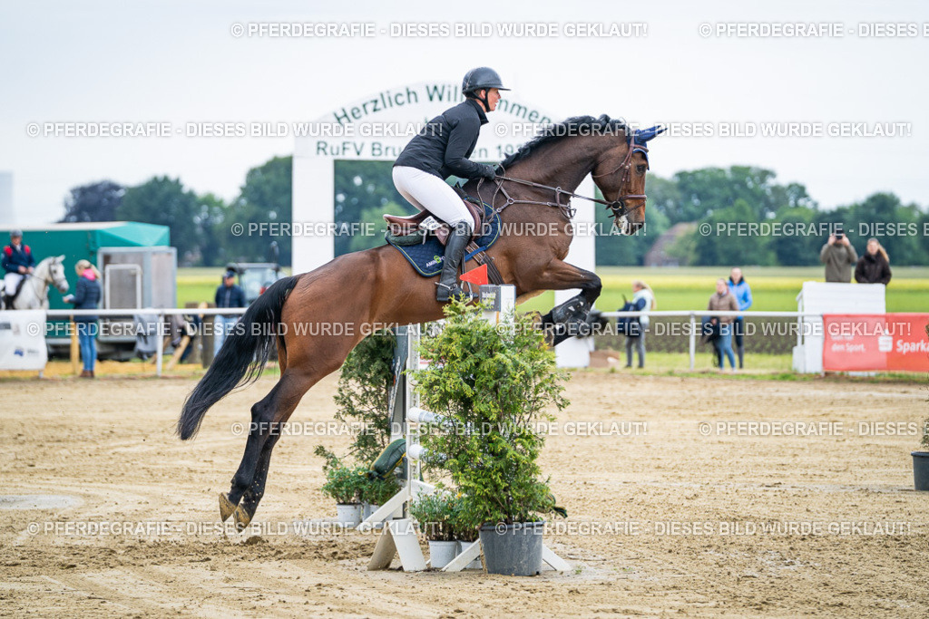 DSC04714 | Pferdegrafie