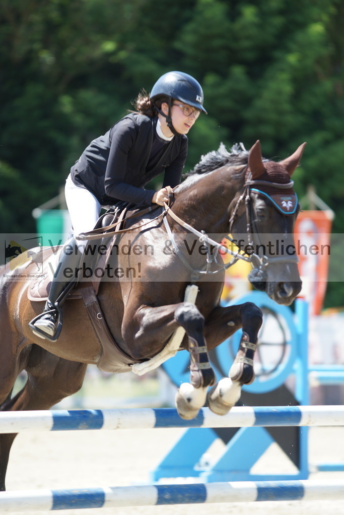 DSC00779 | equestrian-live-com