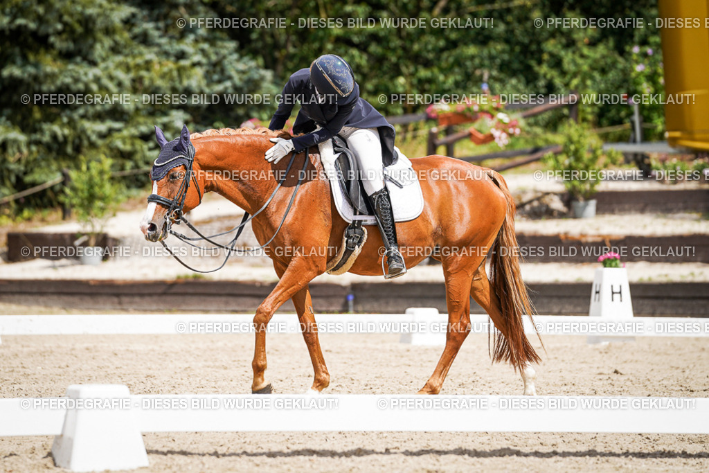 DSC06251 | Pferdegrafie