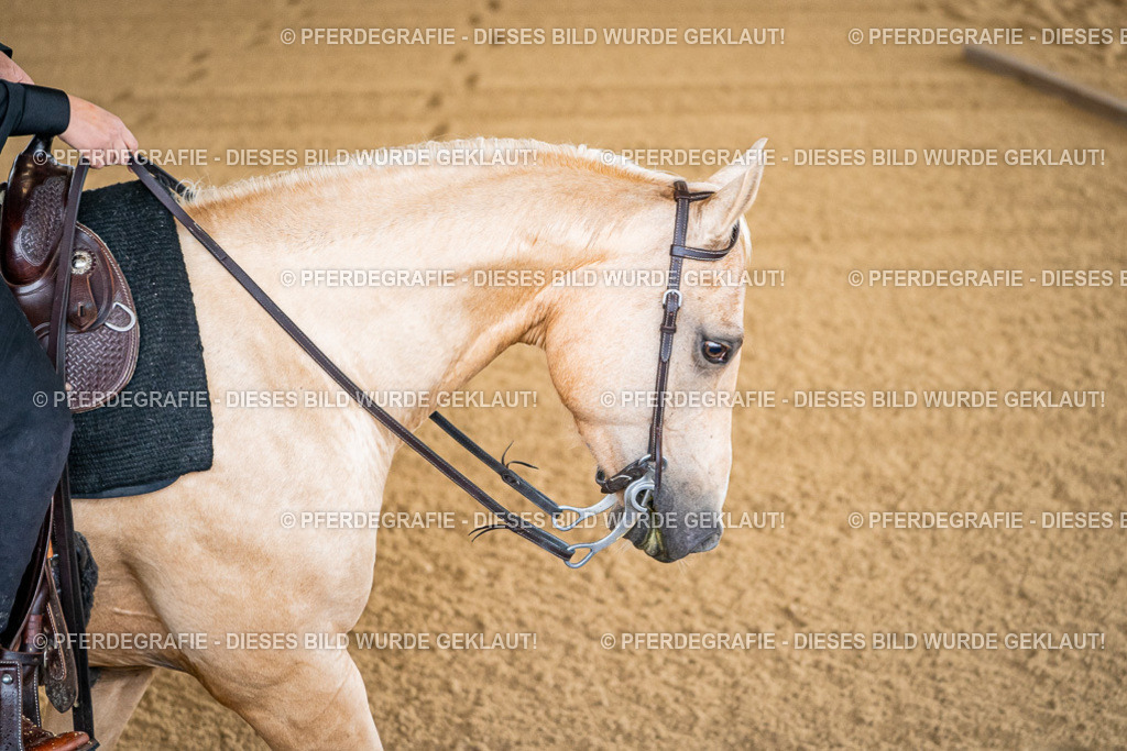 DSC01475 | Pferdegrafie