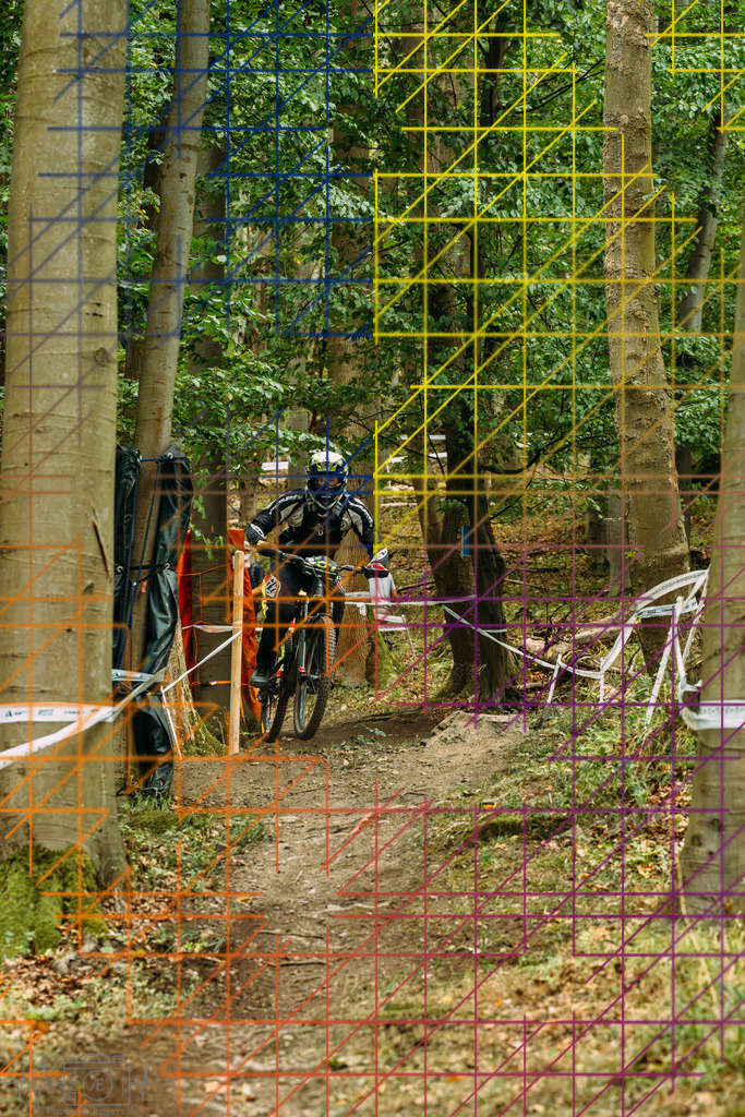 PAE-0314 | Einzigartige Fotokunst für dein Zuhause: Entdecke hochwertige Wandbilder, edle Prints und emotionale Motive von Wildlife, Natur und Landschaften - Realisiert mit Pictrs.com