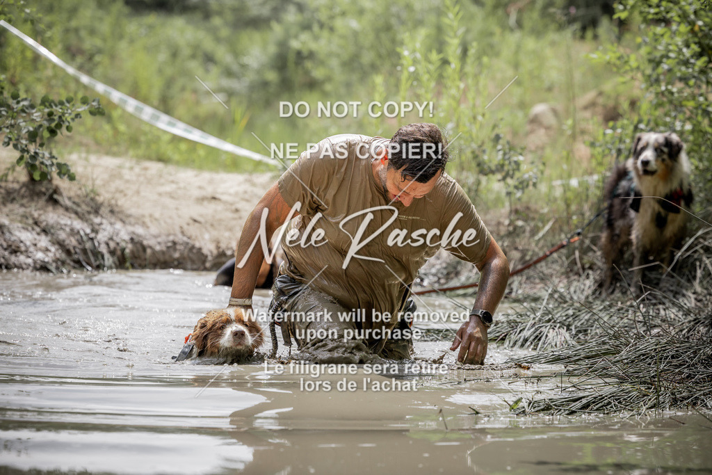 nelerasche_so1300-1330_257 | nelerasche