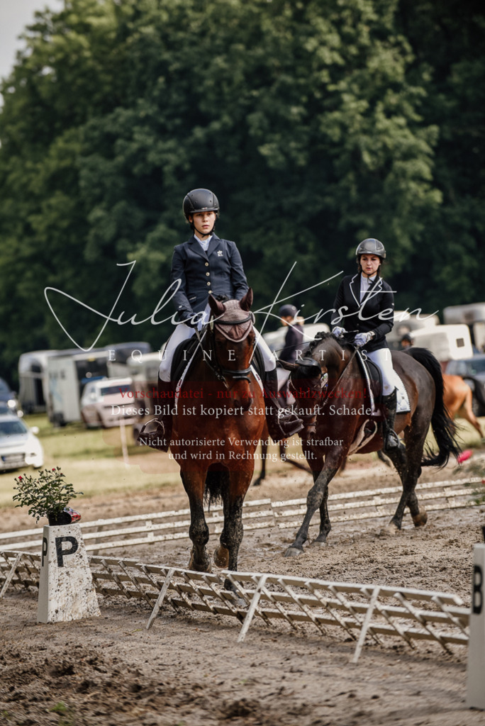 DSC_8671 | Pferde- und Turnierfotografie in Westsachsen. Pferdeportraits, Auftragszeichnungen und intuitive Kunst.