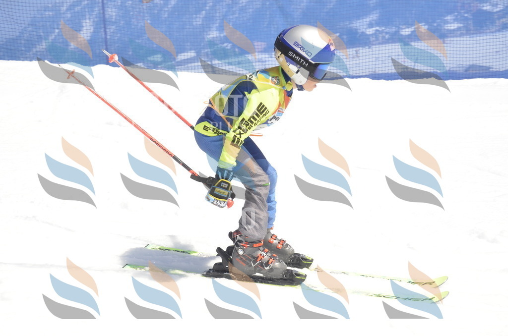 _ELE9608 | holidayphoto