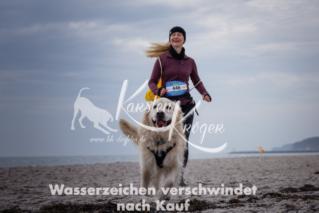 1153_ZZ91266 | kk-dogfotos