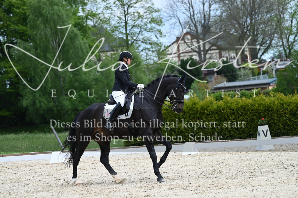 20230512_JK-Röhrsdorf-05-114 | Pferde- und Turnierfotografie in Westsachsen. Pferdeportraits, Auftragszeichnungen und intuitive Kunst.