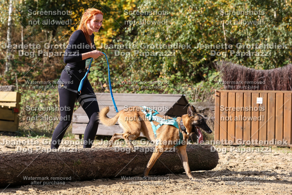 Dog Paparazzi - Strongdog 10-25-5245 | Dog Paparazzi Jeanette Grottendiek Fotografie & Videografie - Realisiert mit Pictrs.com