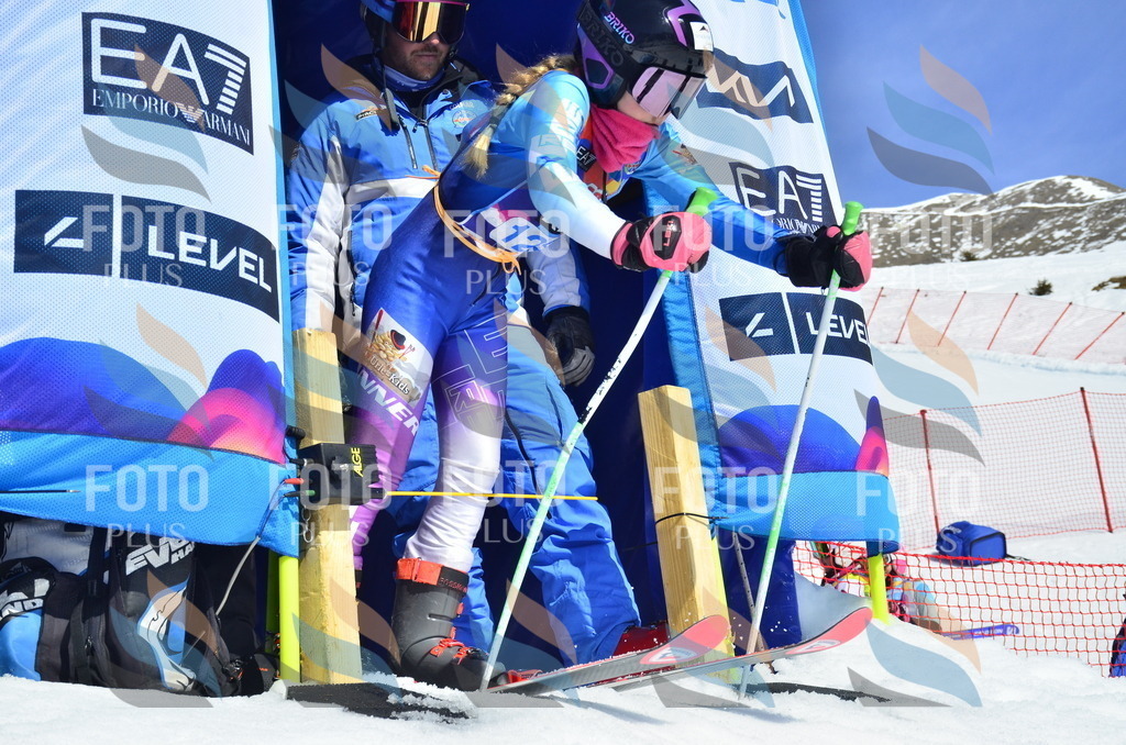 _ELE0803 | holidayphoto