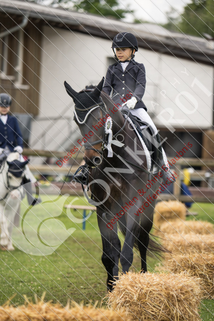 IMG_1930 | Sport-, Event- und Tierfotos in Profiqualität. Einfach auswählen, bestellen und herunterladen. Dein Moment – perfekt festgehalten.