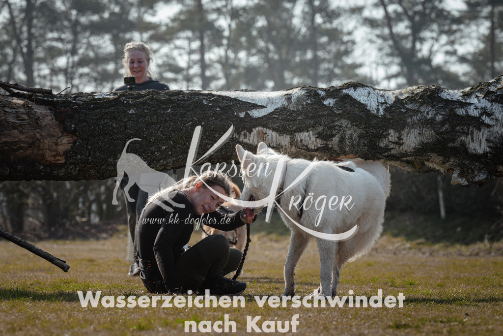 1127_ZZ95163 | kk-dogfotos