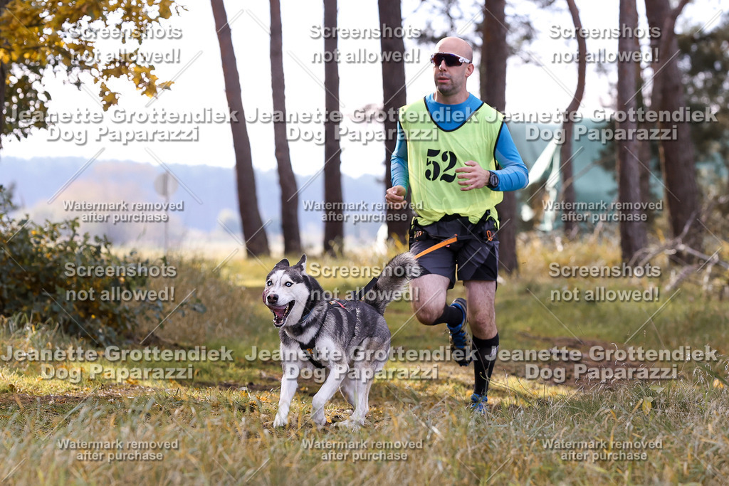 Dog Paparazzi - Elsholz 25 -194 | Dog Paparazzi Jeanette Grottendiek Fotografie & Videografie - Realisiert mit Pictrs.com