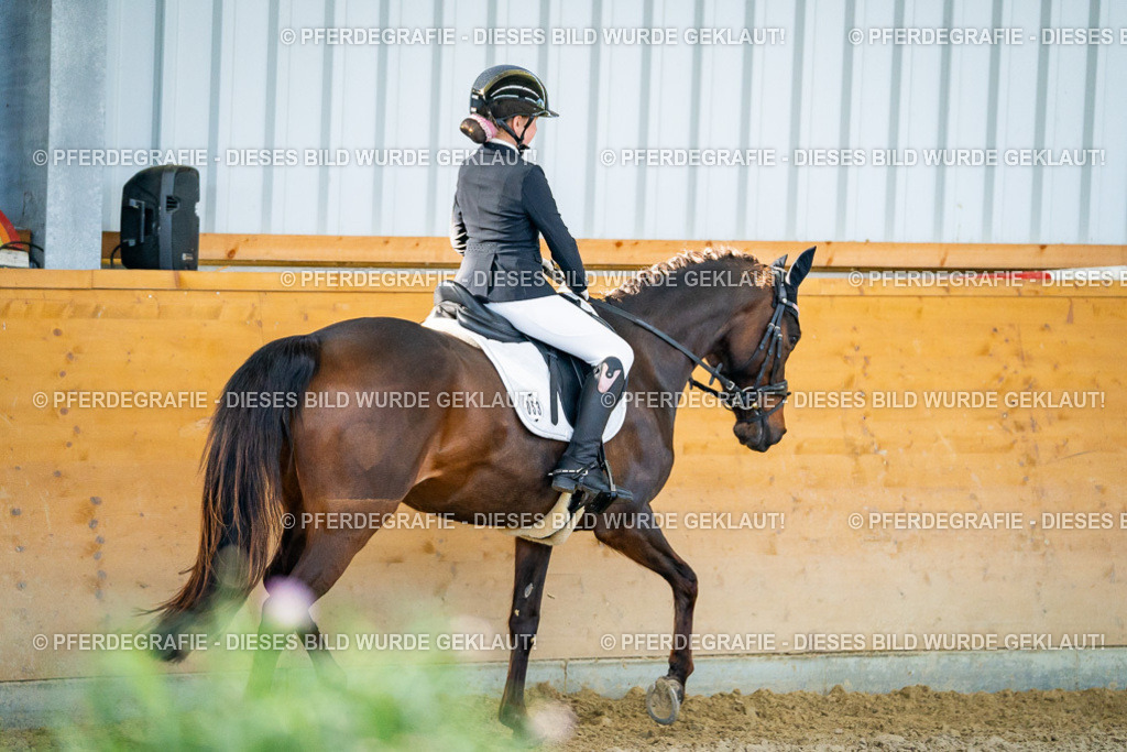 DSC06306 | Pferdegrafie