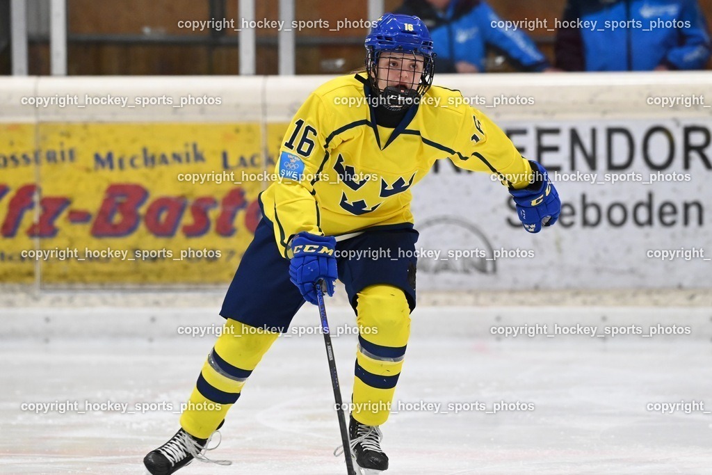 BST_4141 | hockey sports photos, Pressefotos, Sportfotos, hockey247, win 2day icehockeyleague, Handball Austria, Floorball Austria, ÖVV, Kärntner Eishockeyverband, KEHV, KFV, Kärntner Fussballverband, Österreichischer Volleyballverband, Alps Hockey League, ÖFB, 
