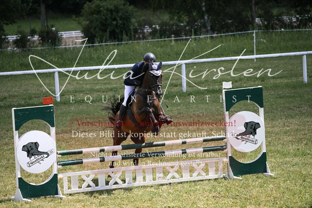 DSC_9788 | Pferde- und Turnierfotografie in Westsachsen. Pferdeportraits, Auftragszeichnungen und intuitive Kunst.