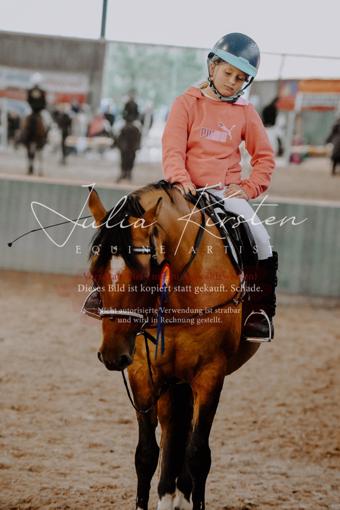 DSC_7607 | Pferde- und Turnierfotografie in Westsachsen. Pferdeportraits, Auftragszeichnungen und intuitive Kunst.