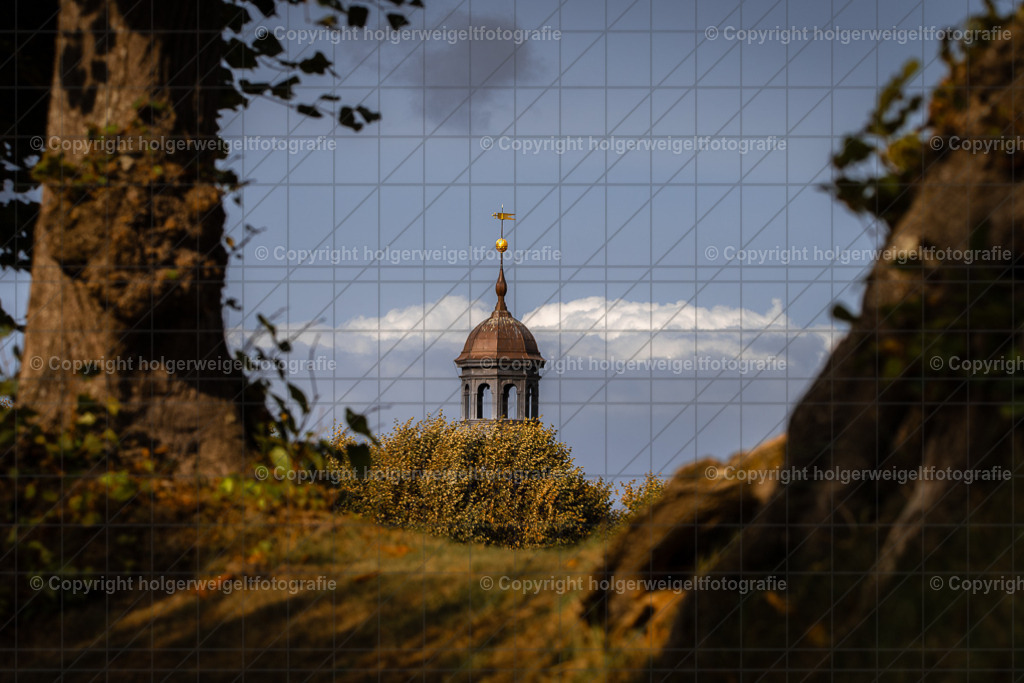 20230930141816D75_8179-Verbessert-RR | Kaufen sie online außergewöhnliche Fotografien auf Leinwand Acrylglas Fotoprint Aludibond von holgerweigeltfotografie - Realisiert mit Pictrs.com