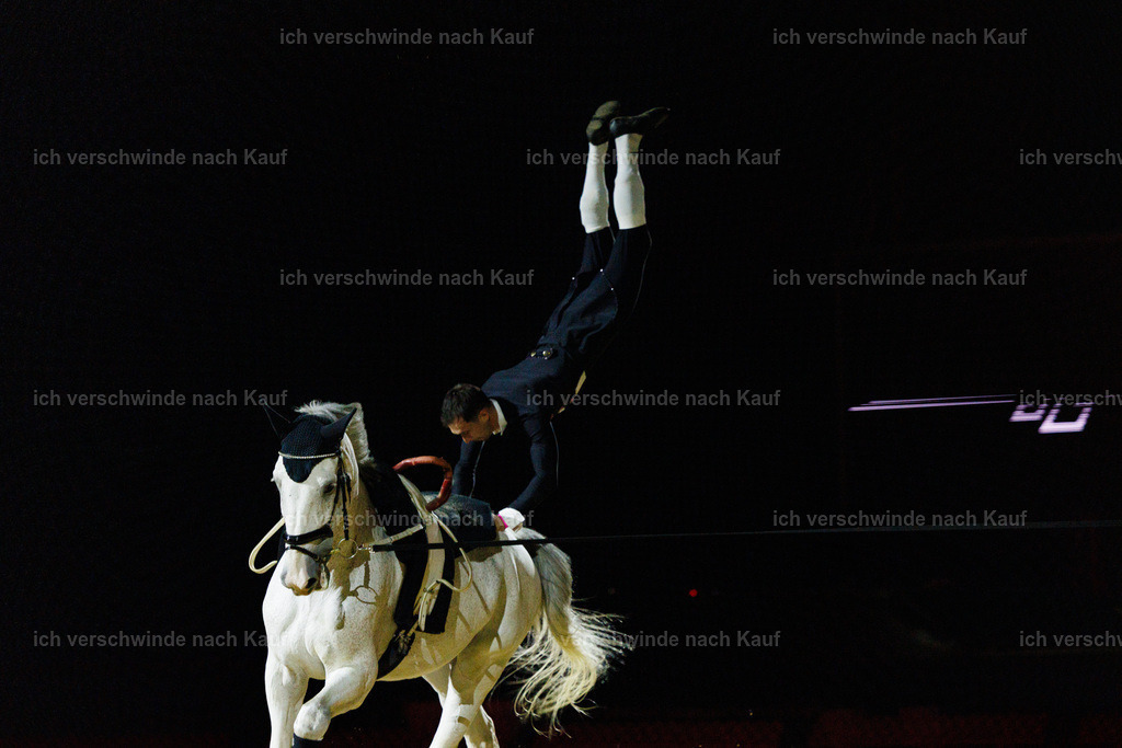 FHClassics-206 | working equitationturnier fotograf videograf stoibphotography marixx film working equitation deutschland reitsport turnierfotografie eventfotografie equestrian events