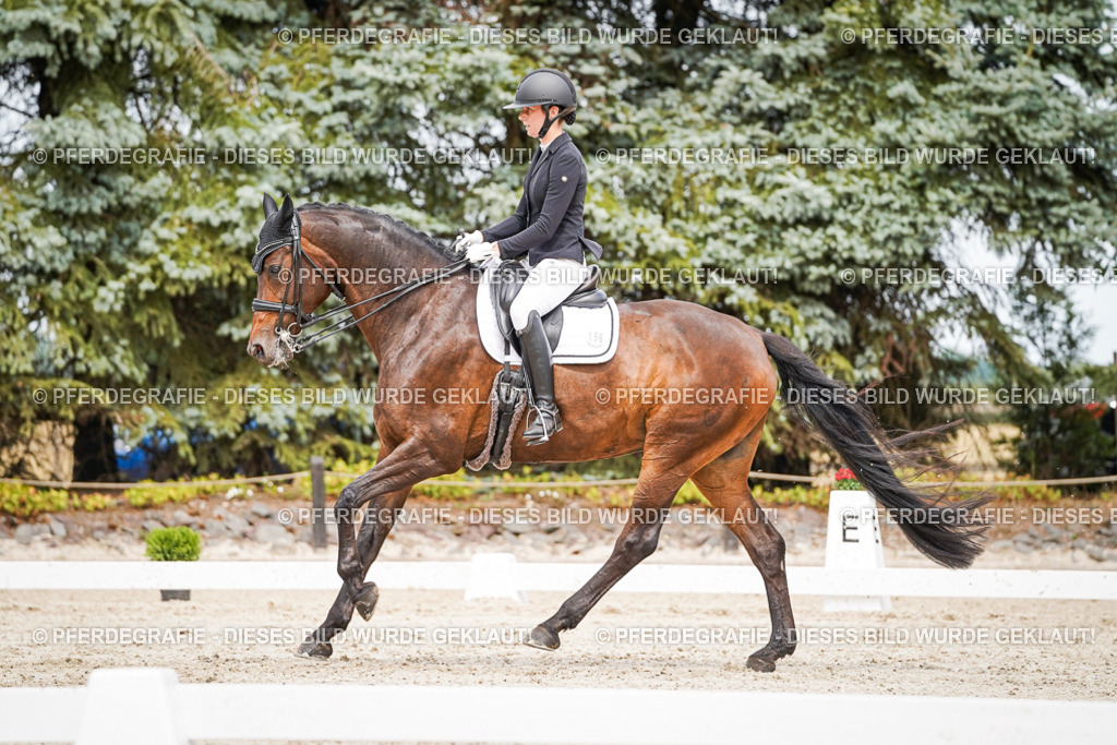 DSC05838 | Pferdegrafie