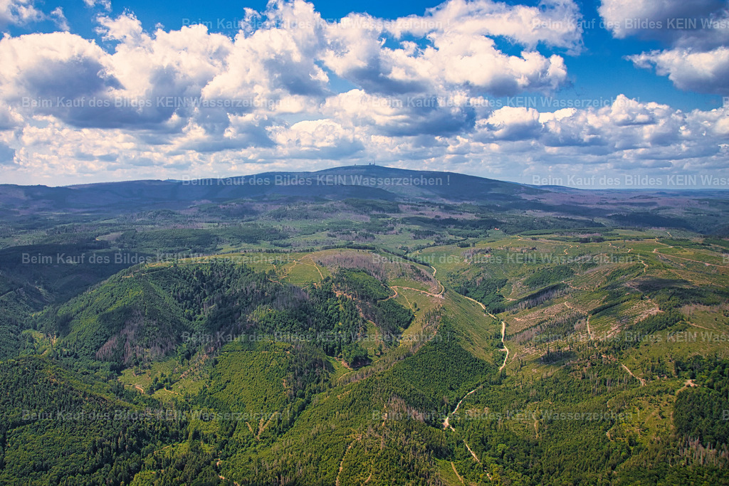 Tänntal_Brocken_Plessenburg_Harz_grün_4492 | Das Tänntal bei Darlingerode mit Blick zum Brocken und Gasthaus Plessenburg - Realisiert mit Pictrs.com