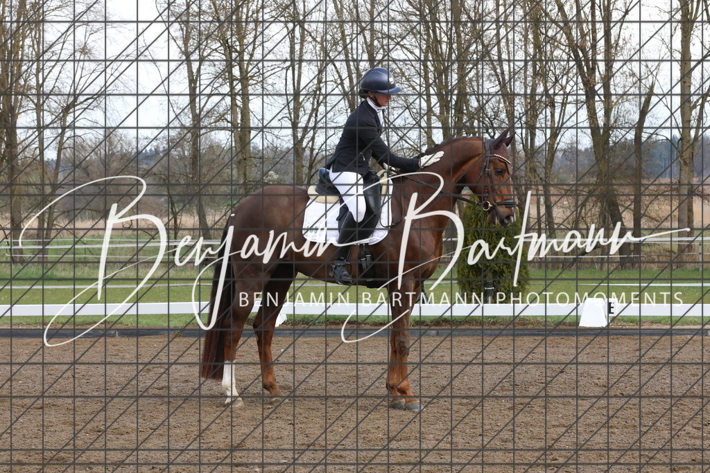 AZ2A6503 | Benjamin Bartmann Photomoments