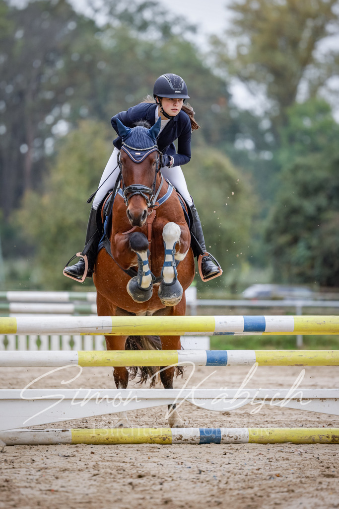 20251012-_3LI3460 | Tierfotografie Pferde, Hunde, Katzen, Haustiere.
Turnierfotografie Reitturniere, Reiten, Springreiten, Dressur in Hanau, dem Main-Kinzig-Kreis und dem Rhein-Main- Gebiet um Frankfurt