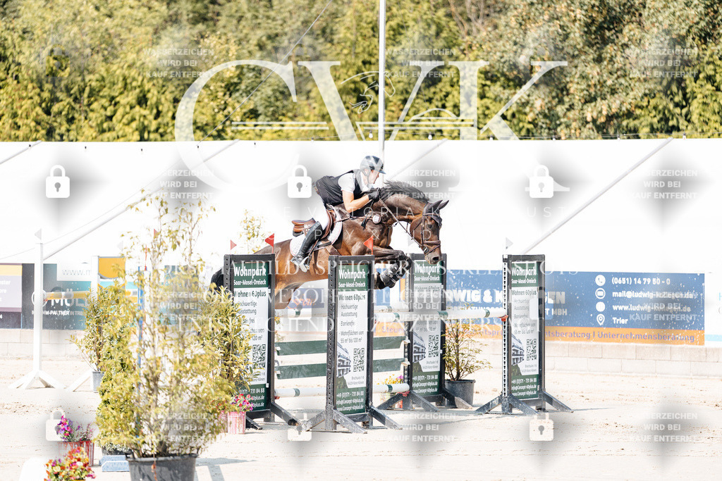CK901377 | Turnierfotografie Pferdefotografie Trier Rheinland-Pfalz Pferdesport Reitsport Tierfotografie Sportfotografie Pferdevideo Pferdevideografie Equestrianvideography equestrianphotography  - Realisiert mit Pictrs.com