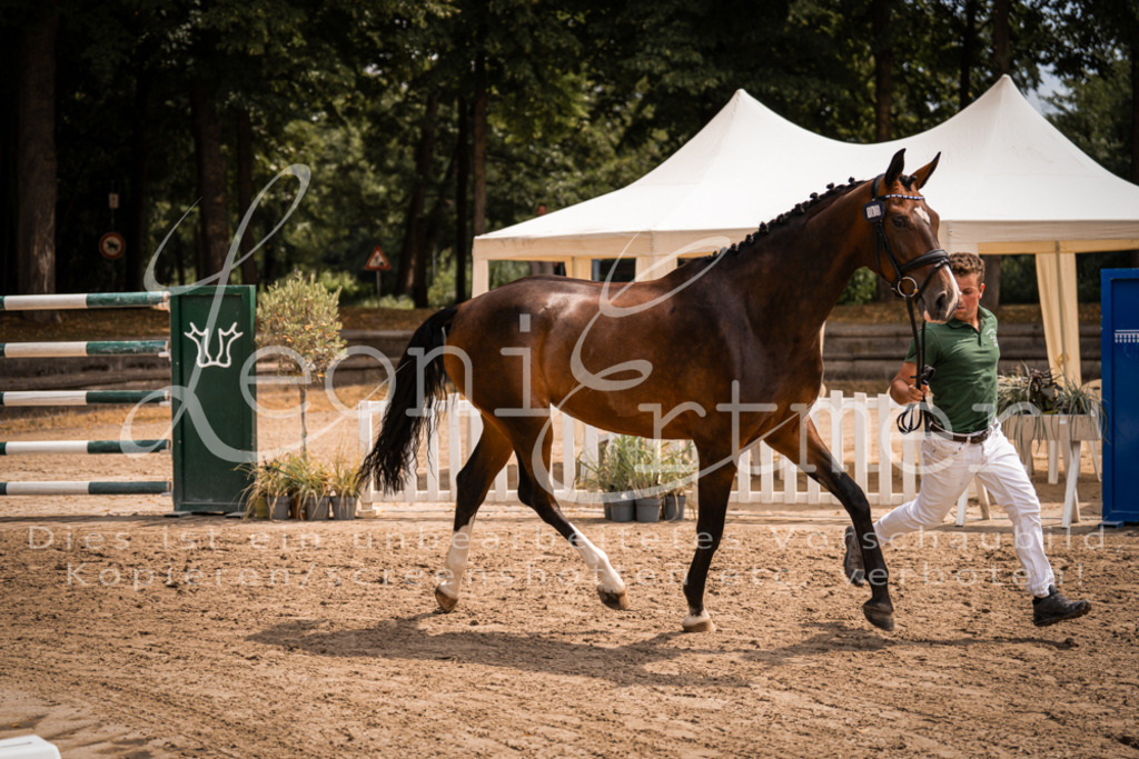 2. Fr00122 | Leoni Ertmer Photography - Realisiert mit Pictrs.com