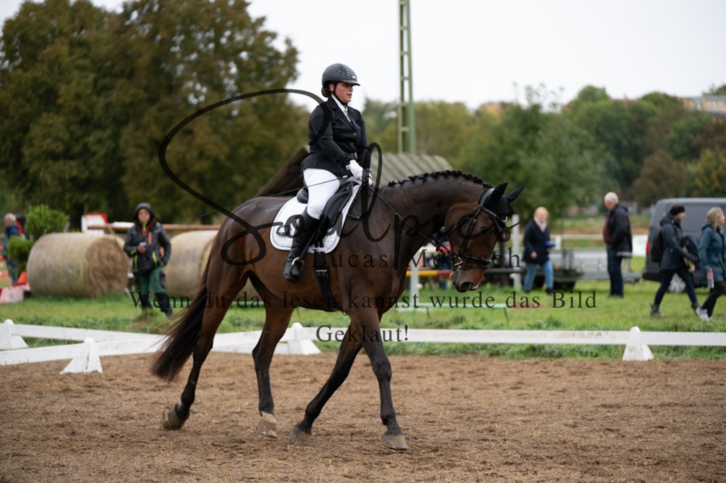 A7V05830 | Pferdefotograf