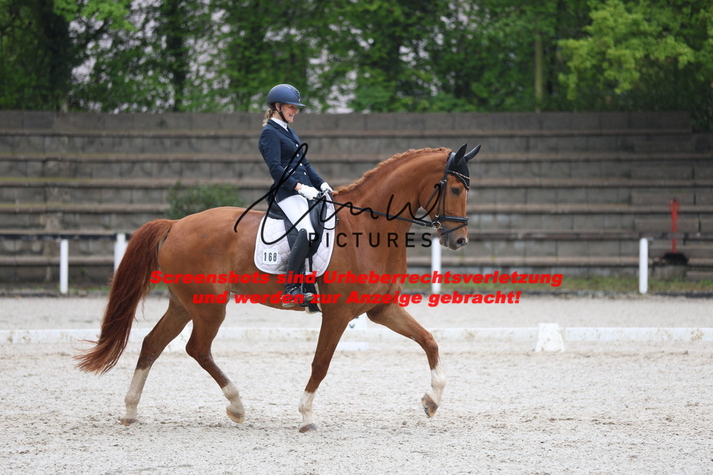 A40A8163 | lmwpictures - Realisiert mit Pictrs.com