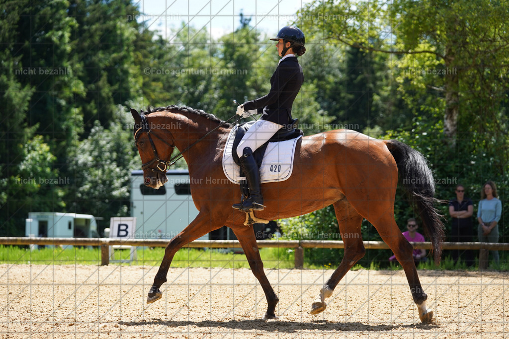 20240705-FAH03957 | Turnierbilder von Grafing, Reitsportbilder, Turnierfotos, Turnierfotografen Bayern, Pferdefotograf, Fotoagentur Herrmann