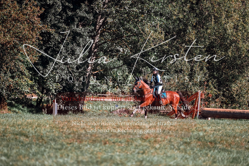 DSC_0740 | Pferde- und Turnierfotografie in Westsachsen. Pferdeportraits, Auftragszeichnungen und intuitive Kunst.