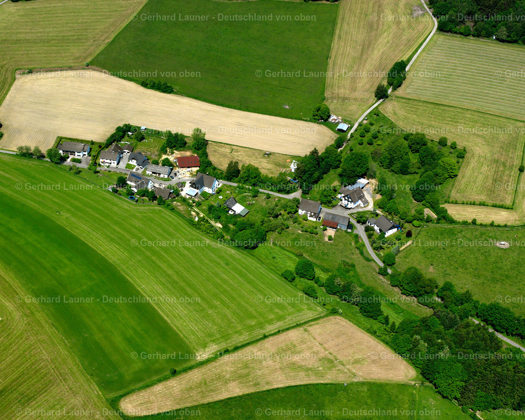 2632045 | Freisernicke