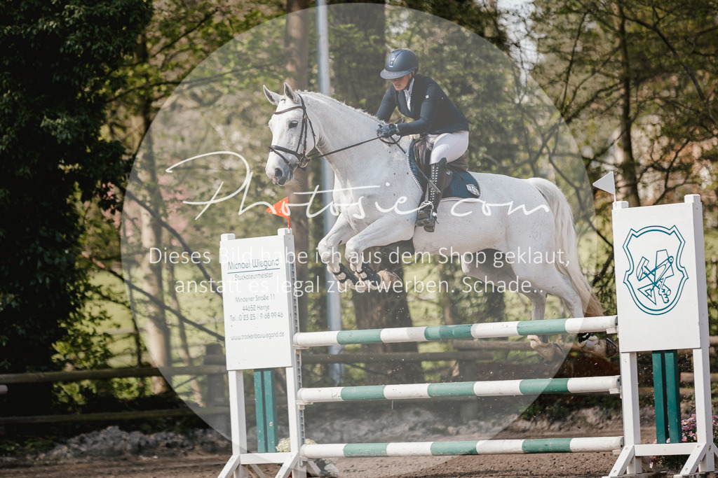 3I6A4089 | Stimmungsvolle Portraits und Reitsportfotografie im Ruhrgebiet und im Münsterland.

Pferdefotografie, Hundefotografie, Tierfotografie, Reportagen, Portraits von Tier und Mensch, Turnierfotografie in Bochum, Recklinghausen, Marl, Haltern am See, Dülmen.. - Realisiert mit Pictrs.com