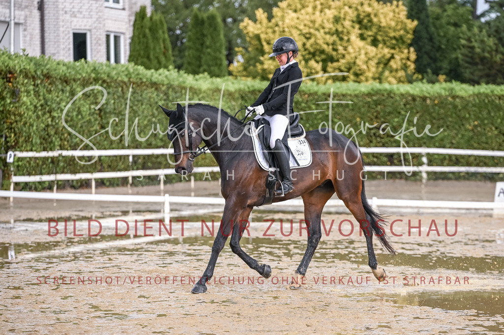 Schugtsche-Aluta25-54.Dressurprf.L1Trense-3 | Schugtsche Fotografie - Realisiert mit Pictrs.com