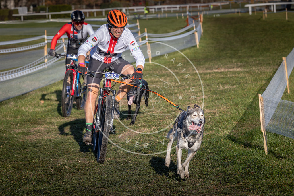 CaniXpix_0L8A4700 | Hundefotografie, Tierfotograf, Pfotenfotografie, Fotoshooting Hund, Hunde Portrait, Hundesport, Hundeportraits, Heideshooting, Hunde, Sportfotograf, Hundefotograf, Turnierhundsport, THS,  - Realisiert mit Pictrs.com