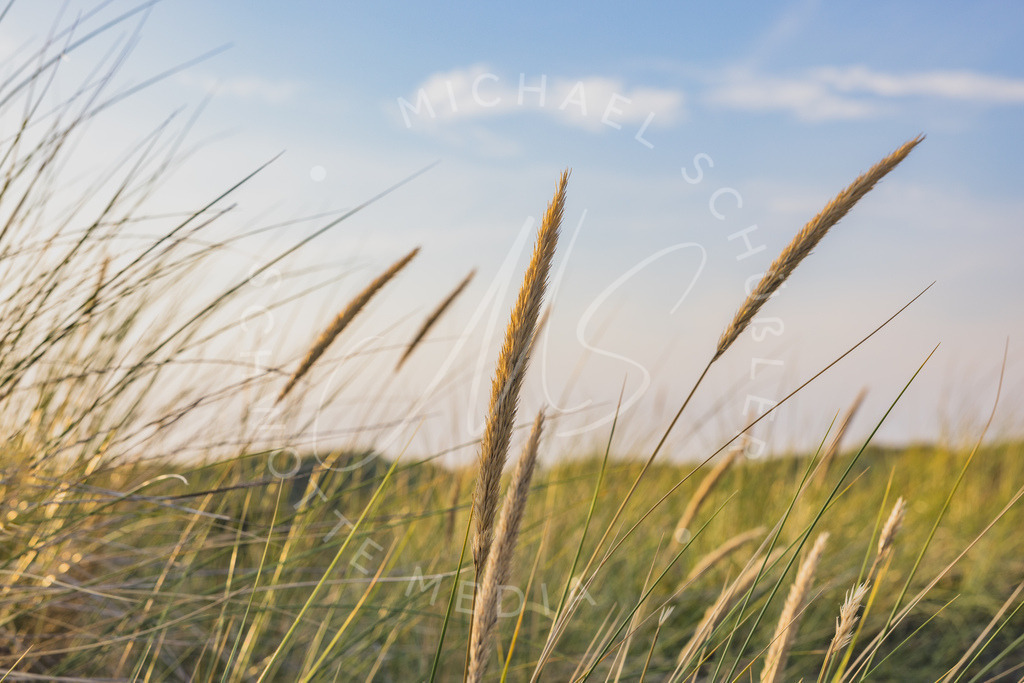 2024-08-27 SPO Srand Sonnenuntergang 002 | Schwotte Media - Realisiert mit Pictrs.com