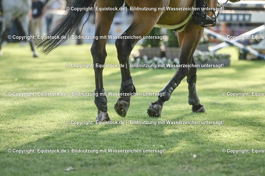 20230526_Impressionen_0087 | equistock
