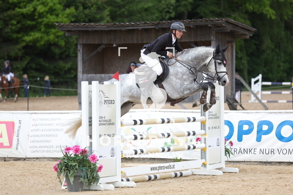 0P6A0403 | Willkommen bei Brunnmayr - Design & Fotografie – Ihrem Spezialisten für Reitturniere und Pferdeveranstaltungen in Oberösterreich, Salzburg und Bayern! Seit über 17 Jahren sind wir leidenschaftlich dabei.