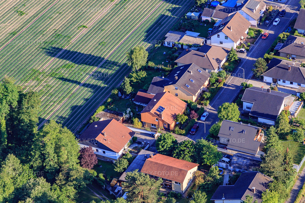 Luftbild: Waldstr in Erlenbach bei Kandel im Bundesland Rheinland-Pfalz in Deutschland. Foto: IMG_115092.jpg vom 13.06.2019 durch Werner Riehm/FLY-FOTO.de