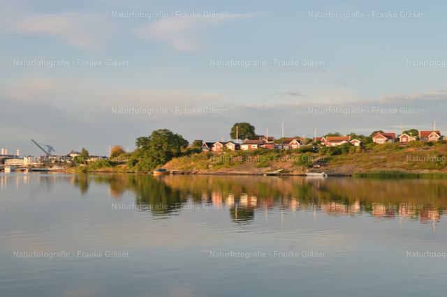 DSC_1326Karlhagen__Juli2025 | Naturfotografie Frauke Gläser - Realisiert mit Pictrs.com