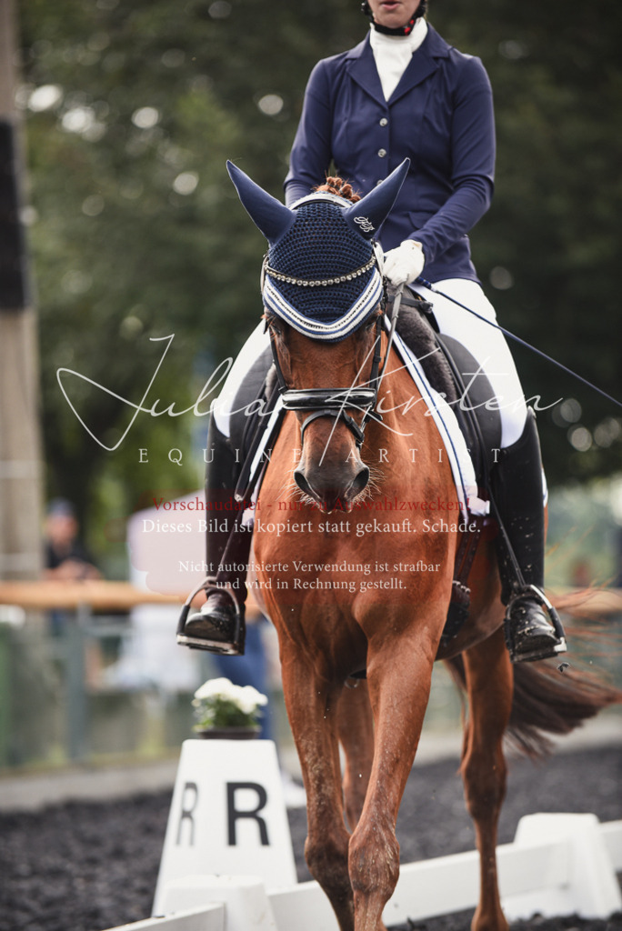 DSC_3786 | Pferde- und Turnierfotografie in Westsachsen. Pferdeportraits, Auftragszeichnungen und intuitive Kunst.