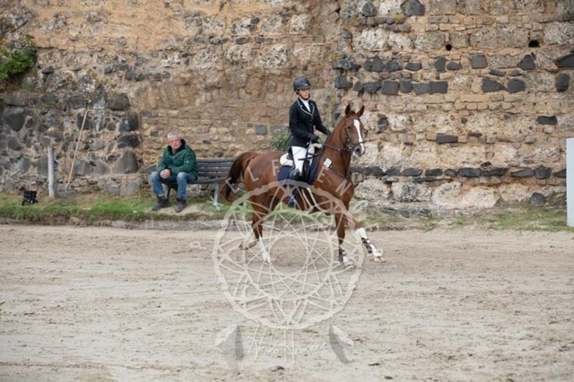 2B4A2313 | pixelfaenger - Realisiert mit Pictrs.com