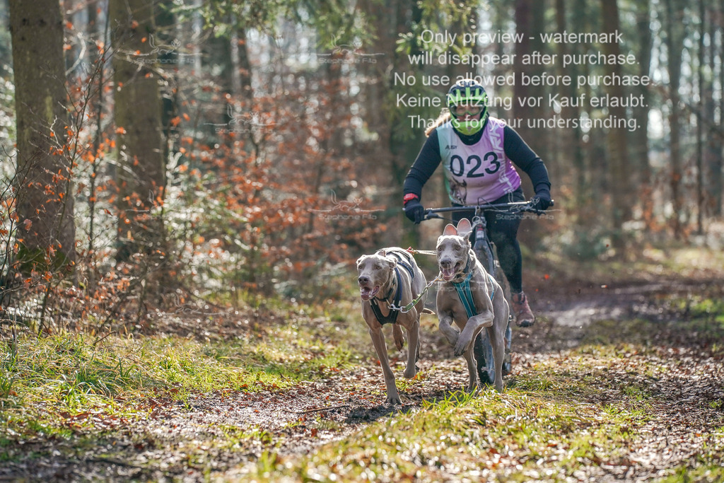 So_Scooter_2-62 | stephaniefillaphotographie - Realisiert mit Pictrs.com